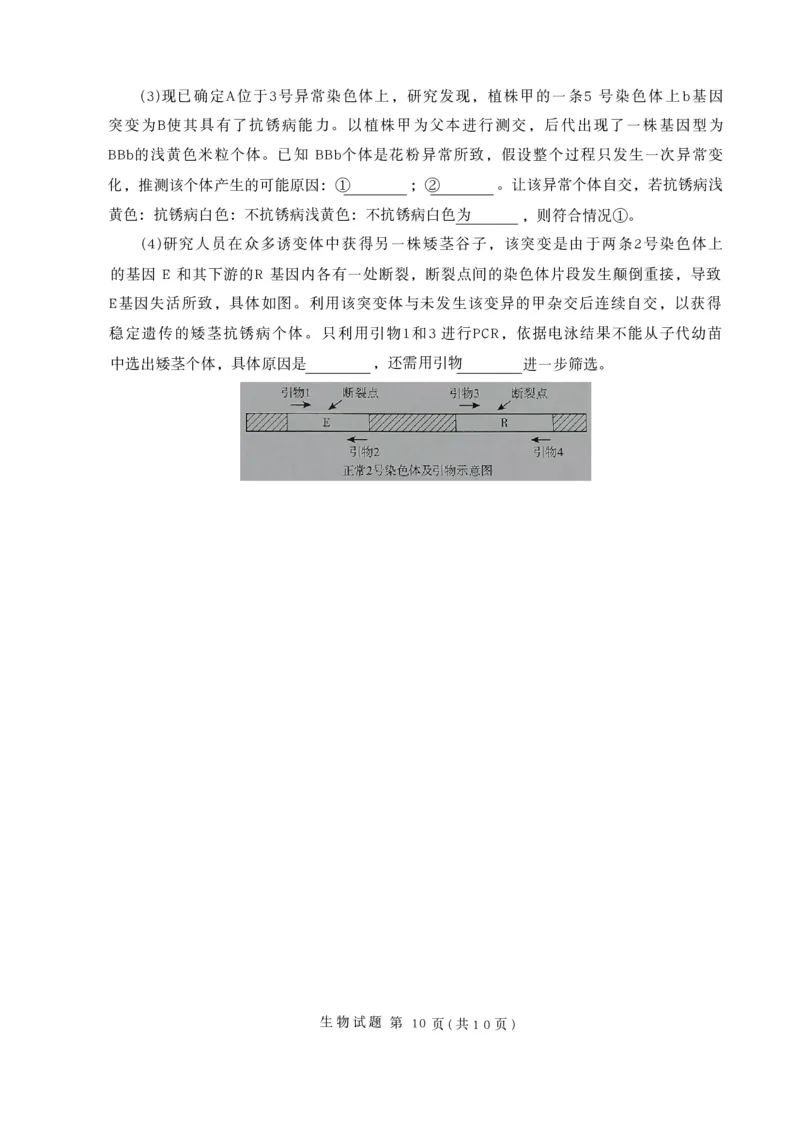 生物试卷-山东省临沂市（北京时代凤凰研究院）2026届高三年级教学质量检测考试（上学期期中）_251116山东省临沂市2026届高三11月教学质量检测（全科）