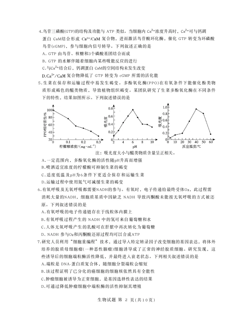 生物试卷-山东省临沂市（北京时代凤凰研究院）2026届高三年级教学质量检测考试（上学期期中）_251116山东省临沂市2026届高三11月教学质量检测（全科）