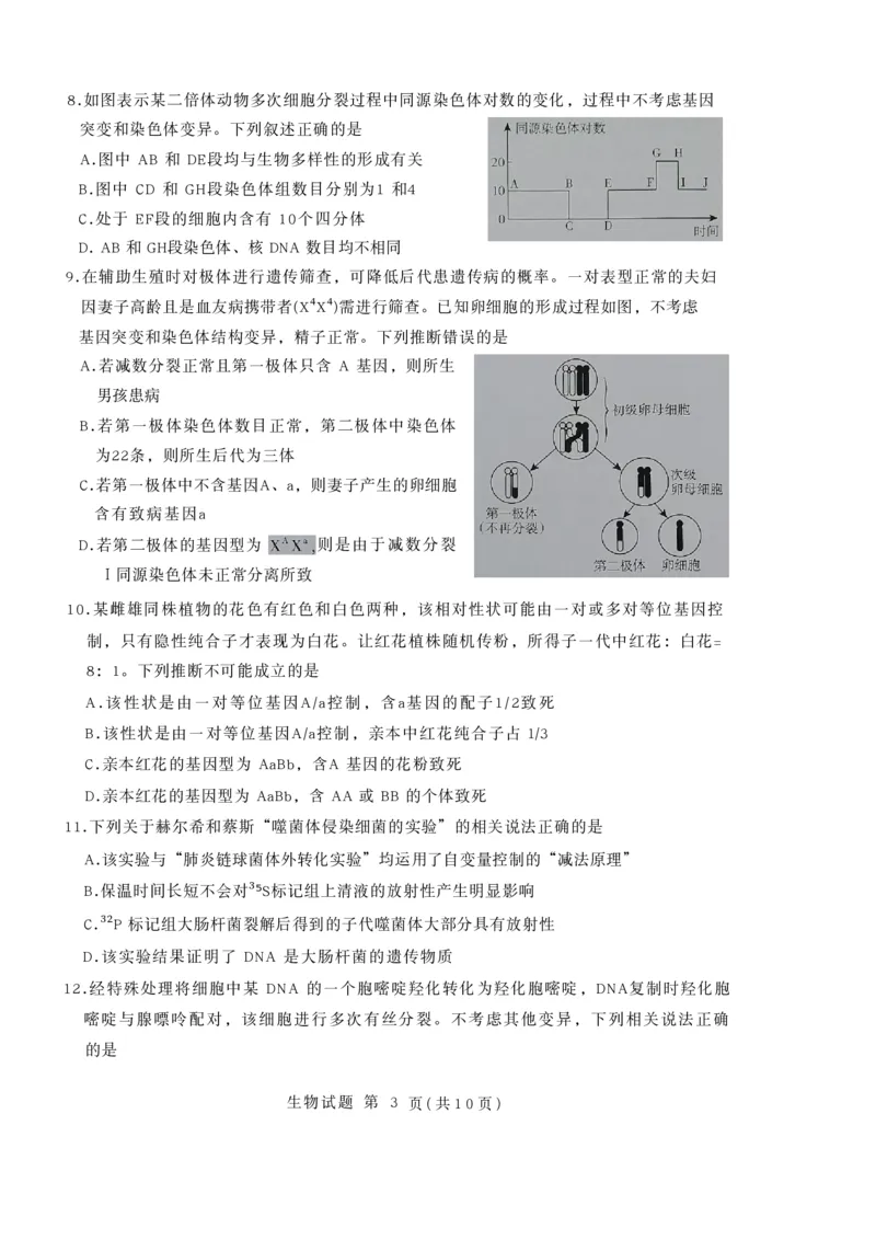 生物试卷-山东省临沂市（北京时代凤凰研究院）2026届高三年级教学质量检测考试（上学期期中）_251116山东省临沂市2026届高三11月教学质量检测（全科）