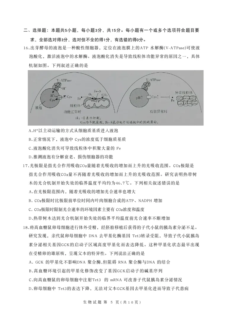 生物试卷-山东省临沂市（北京时代凤凰研究院）2026届高三年级教学质量检测考试（上学期期中）_251116山东省临沂市2026届高三11月教学质量检测（全科）