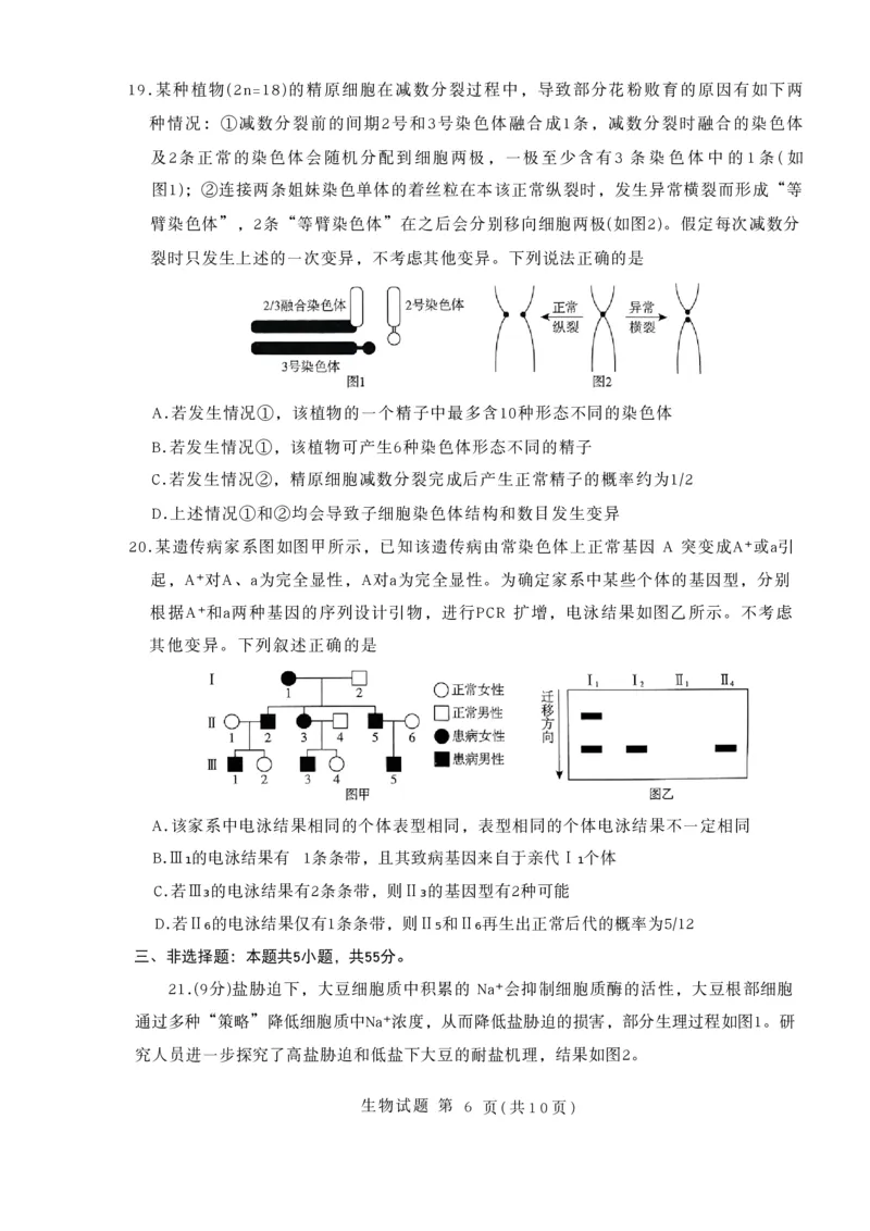 生物试卷-山东省临沂市（北京时代凤凰研究院）2026届高三年级教学质量检测考试（上学期期中）_251116山东省临沂市2026届高三11月教学质量检测（全科）