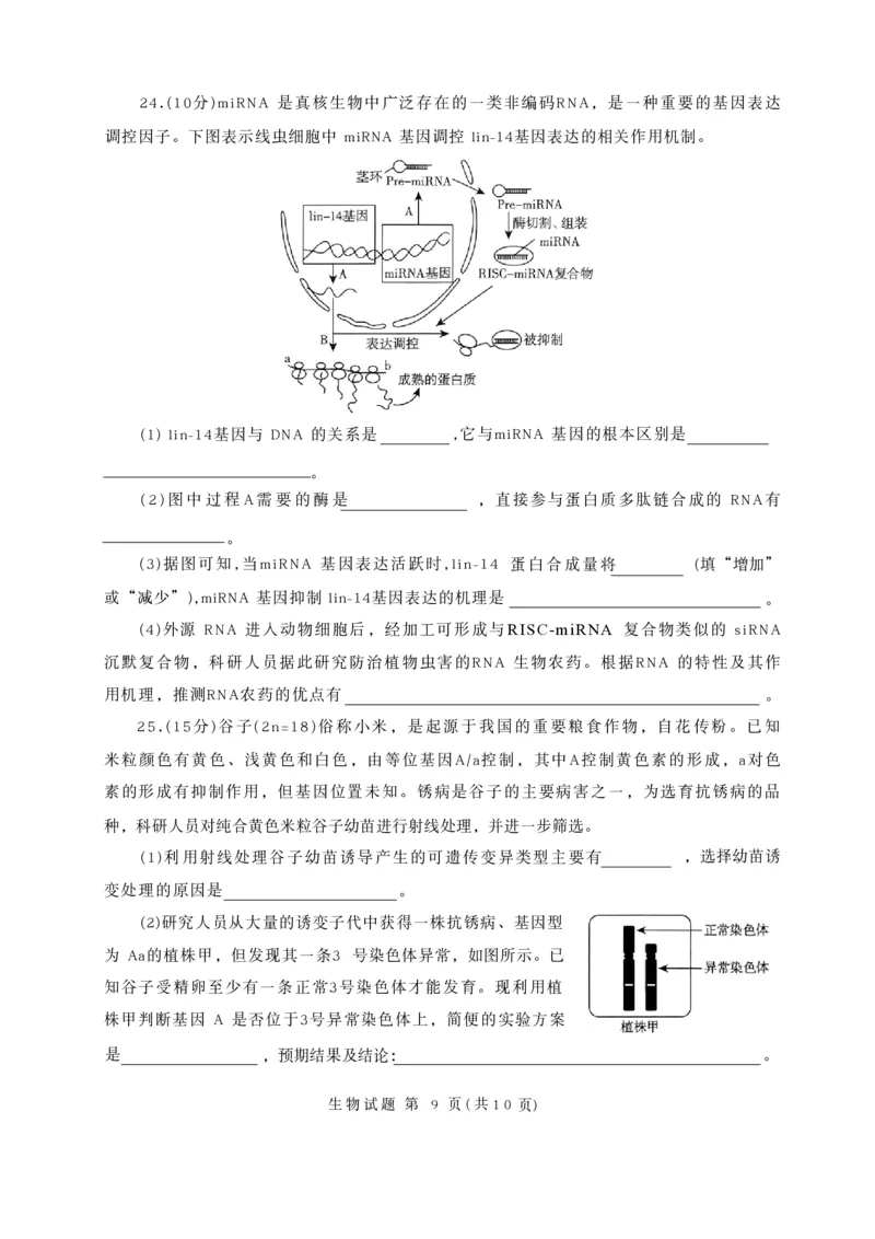 生物试卷-山东省临沂市（北京时代凤凰研究院）2026届高三年级教学质量检测考试（上学期期中）_251116山东省临沂市2026届高三11月教学质量检测（全科）