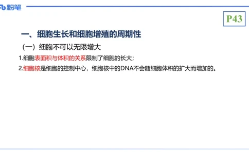 理论精讲07-细胞生物学4-拾光_4-教培资料-26年最新资料-同步更新_初中高中教资_03科三专项（进去保存报考的学科即可）_01科目三FB网课、三色速记手册、知识点导图等推荐_初中