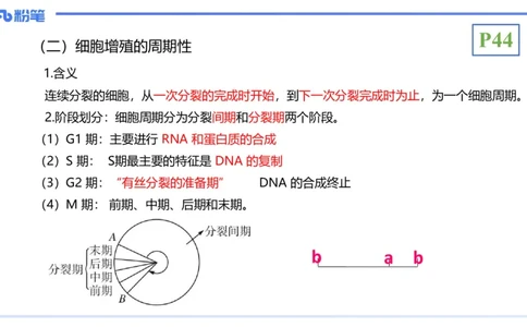 理论精讲07-细胞生物学4-拾光_4-教培资料-26年最新资料-同步更新_初中高中教资_03科三专项（进去保存报考的学科即可）_01科目三FB网课、三色速记手册、知识点导图等推荐_初中