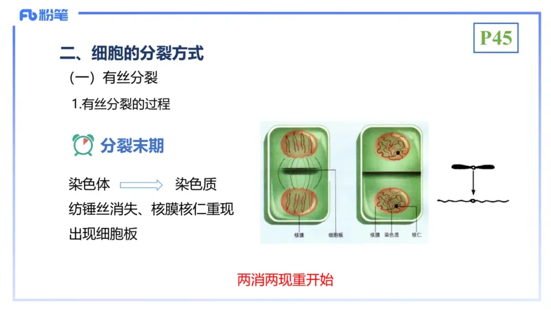 理论精讲07-细胞生物学4-拾光_4-教培资料-26年最新资料-同步更新_初中高中教资_03科三专项（进去保存报考的学科即可）_01科目三FB网课、三色速记手册、知识点导图等推荐_初中