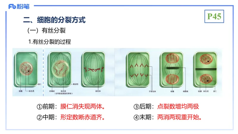 理论精讲07-细胞生物学4-拾光_4-教培资料-26年最新资料-同步更新_初中高中教资_03科三专项（进去保存报考的学科即可）_01科目三FB网课、三色速记手册、知识点导图等推荐_初中