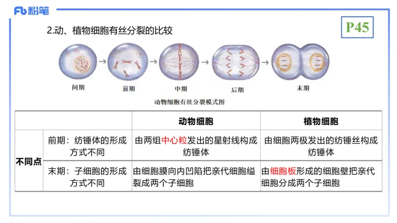 理论精讲07-细胞生物学4-拾光_4-教培资料-26年最新资料-同步更新_初中高中教资_03科三专项（进去保存报考的学科即可）_01科目三FB网课、三色速记手册、知识点导图等推荐_初中