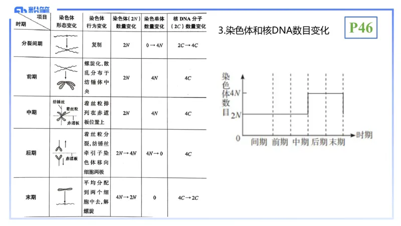 理论精讲07-细胞生物学4-拾光_4-教培资料-26年最新资料-同步更新_初中高中教资_03科三专项（进去保存报考的学科即可）_01科目三FB网课、三色速记手册、知识点导图等推荐_初中