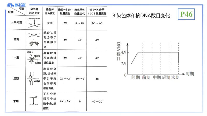 理论精讲07-细胞生物学4-拾光_4-教培资料-26年最新资料-同步更新_初中高中教资_03科三专项（进去保存报考的学科即可）_01科目三FB网课、三色速记手册、知识点导图等推荐_初中
