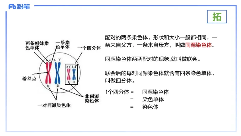 理论精讲07-细胞生物学4-拾光_4-教培资料-26年最新资料-同步更新_初中高中教资_03科三专项（进去保存报考的学科即可）_01科目三FB网课、三色速记手册、知识点导图等推荐_初中