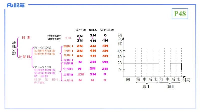 理论精讲07-细胞生物学4-拾光_4-教培资料-26年最新资料-同步更新_初中高中教资_03科三专项（进去保存报考的学科即可）_01科目三FB网课、三色速记手册、知识点导图等推荐_初中