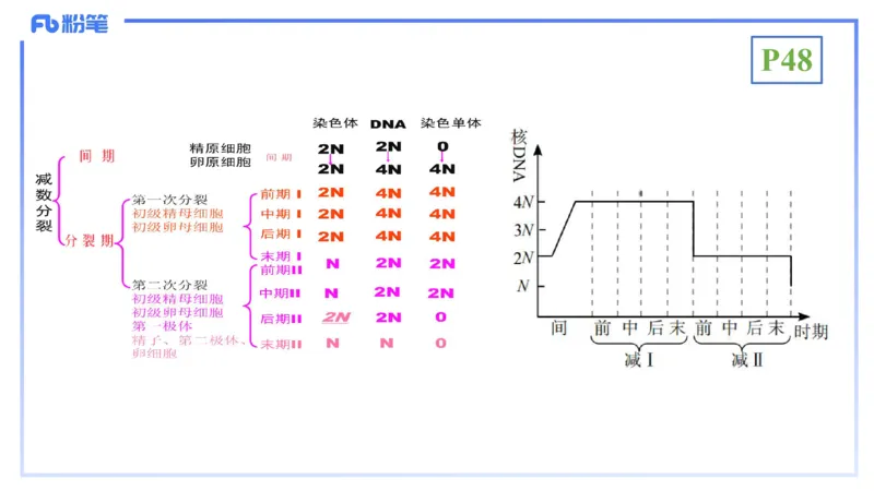 理论精讲07-细胞生物学4-拾光_4-教培资料-26年最新资料-同步更新_初中高中教资_03科三专项（进去保存报考的学科即可）_01科目三FB网课、三色速记手册、知识点导图等推荐_初中