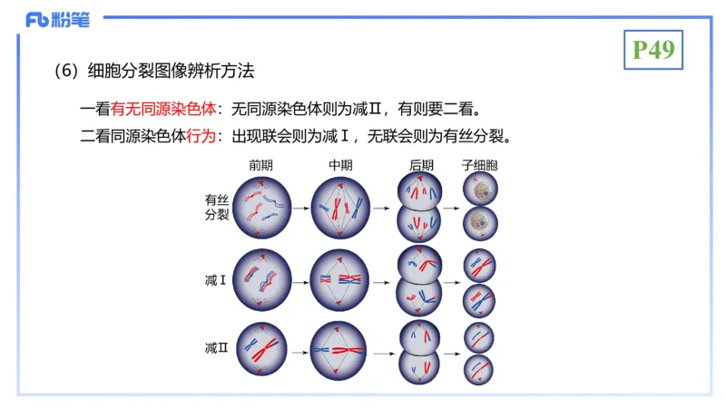 理论精讲07-细胞生物学4-拾光_4-教培资料-26年最新资料-同步更新_初中高中教资_03科三专项（进去保存报考的学科即可）_01科目三FB网课、三色速记手册、知识点导图等推荐_初中