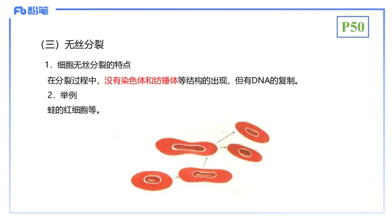 理论精讲07-细胞生物学4-拾光_4-教培资料-26年最新资料-同步更新_初中高中教资_03科三专项（进去保存报考的学科即可）_01科目三FB网课、三色速记手册、知识点导图等推荐_初中