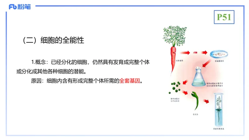 理论精讲07-细胞生物学4-拾光_4-教培资料-26年最新资料-同步更新_初中高中教资_03科三专项（进去保存报考的学科即可）_01科目三FB网课、三色速记手册、知识点导图等推荐_初中