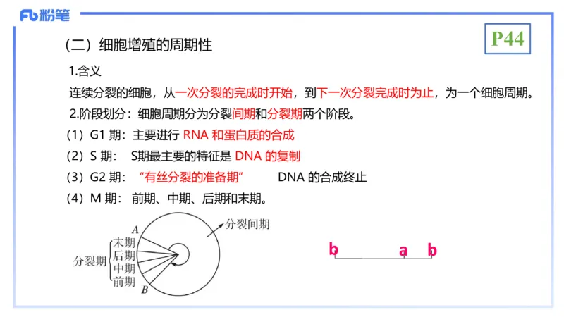 理论精讲07-细胞生物学4-拾光_4-教培资料-26年最新资料-同步更新_初中高中教资_03科三专项（进去保存报考的学科即可）_01科目三FB网课、三色速记手册、知识点导图等推荐_初中