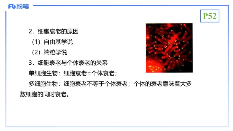 理论精讲07-细胞生物学4-拾光_4-教培资料-26年最新资料-同步更新_初中高中教资_03科三专项（进去保存报考的学科即可）_01科目三FB网课、三色速记手册、知识点导图等推荐_初中