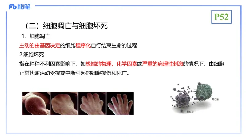 理论精讲07-细胞生物学4-拾光_4-教培资料-26年最新资料-同步更新_初中高中教资_03科三专项（进去保存报考的学科即可）_01科目三FB网课、三色速记手册、知识点导图等推荐_初中
