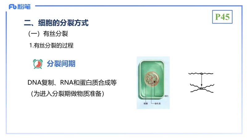 理论精讲07-细胞生物学4-拾光_4-教培资料-26年最新资料-同步更新_初中高中教资_03科三专项（进去保存报考的学科即可）_01科目三FB网课、三色速记手册、知识点导图等推荐_初中