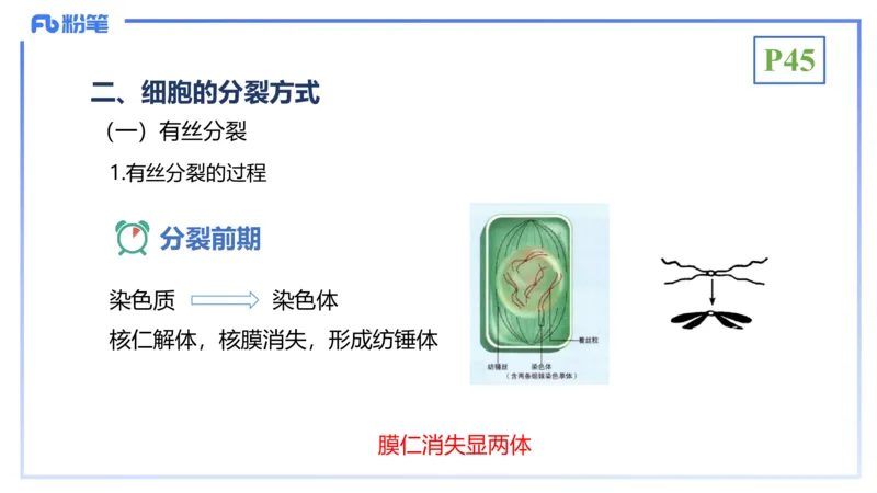理论精讲07-细胞生物学4-拾光_4-教培资料-26年最新资料-同步更新_初中高中教资_03科三专项（进去保存报考的学科即可）_01科目三FB网课、三色速记手册、知识点导图等推荐_初中