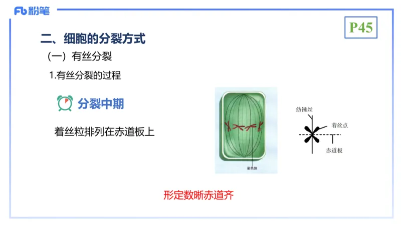 理论精讲07-细胞生物学4-拾光_4-教培资料-26年最新资料-同步更新_初中高中教资_03科三专项（进去保存报考的学科即可）_01科目三FB网课、三色速记手册、知识点导图等推荐_初中