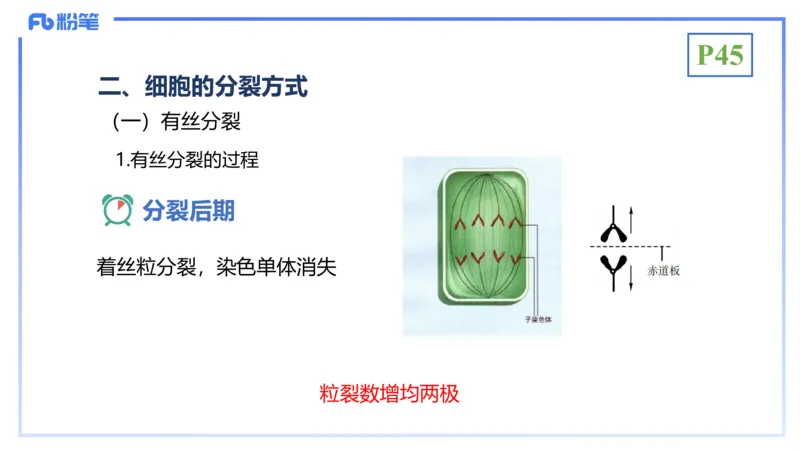理论精讲07-细胞生物学4-拾光_4-教培资料-26年最新资料-同步更新_初中高中教资_03科三专项（进去保存报考的学科即可）_01科目三FB网课、三色速记手册、知识点导图等推荐_初中