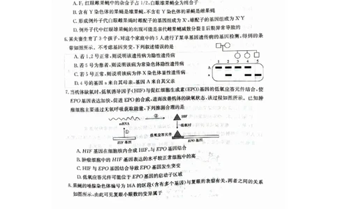 2024年十堰市高三元月调考生物试卷_2024年1月_01每日更新_22号_2024届湖北省十堰市高三上学期1月调研考试_湖北省十堰市2024届高三上学期1月调研考试生物