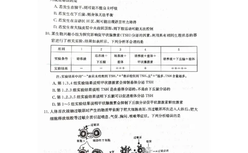 2024年十堰市高三元月调考生物试卷_2024年1月_01每日更新_22号_2024届湖北省十堰市高三上学期1月调研考试_湖北省十堰市2024届高三上学期1月调研考试生物