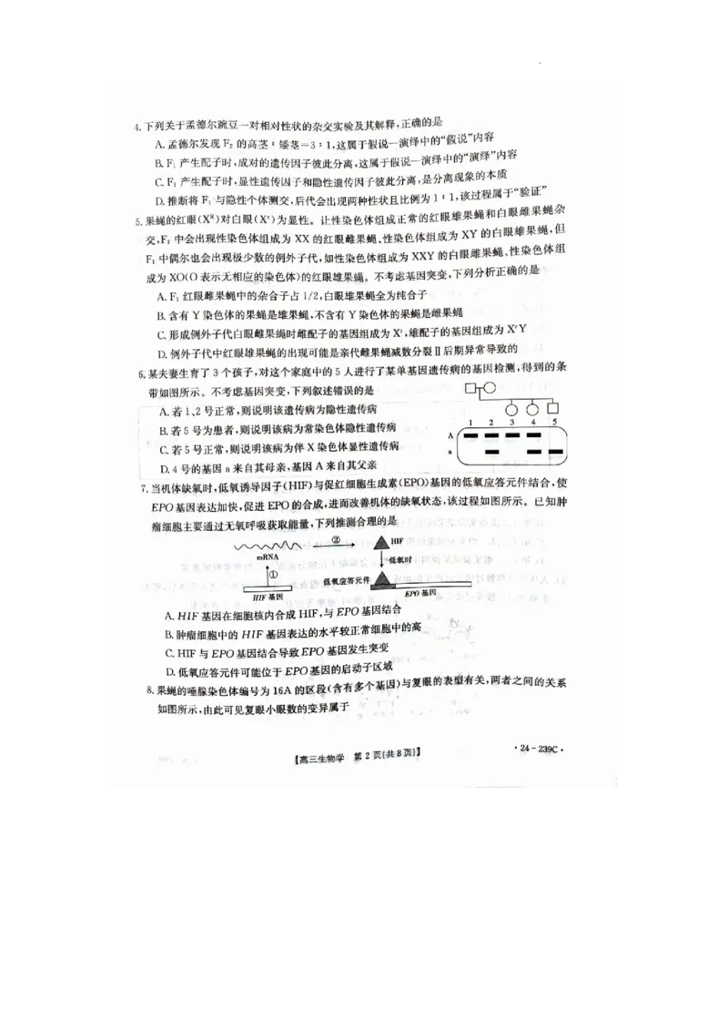 2024年十堰市高三元月调考生物试卷_2024年1月_01每日更新_22号_2024届湖北省十堰市高三上学期1月调研考试_湖北省十堰市2024届高三上学期1月调研考试生物