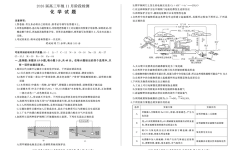 四川省百师联盟2026届高三年级11月阶段检测化学_251115四川省百师联盟2026届高三年级11月阶段检测（全科）