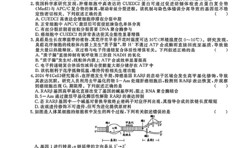 2026届高三总复习&middot;月考卷（三）生物_2025年12月_251215名校联考2026届高三总复习&middot;月考卷（三）（全科）