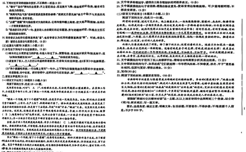 湖南省衡阳市2024-2025学年高二下学期7月期末考试语文试卷（含答案）_2025年7月_250713湖南省衡阳市2024-2025学年高二下学期7月期末考试（全科）