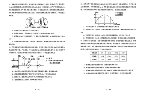 吉林省长春市东北师范大学附属中学2025-2026学年高三上学期第三次摸底考试生物_2025年12月_251217吉林省长春市东北师范大学附属中学2025-2026学年高三上学期第三次摸底考试