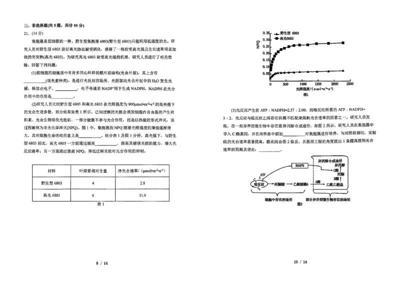 吉林省长春市东北师范大学附属中学2025-2026学年高三上学期第三次摸底考试生物_2025年12月_251217吉林省长春市东北师范大学附属中学2025-2026学年高三上学期第三次摸底考试