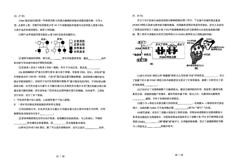 吉林省长春市东北师范大学附属中学2025-2026学年高三上学期第三次摸底考试生物_2025年12月_251217吉林省长春市东北师范大学附属中学2025-2026学年高三上学期第三次摸底考试