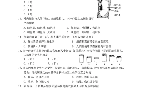 湖南省邵阳市2018年中考生物真题试题（含答案）_中考真题_8.生物中考真题2015-2024年_2018年全国中考生物141份
