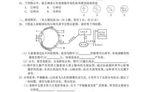 湖南省邵阳市2018年中考生物真题试题（含答案）_中考真题_8.生物中考真题2015-2024年_2018年全国中考生物141份