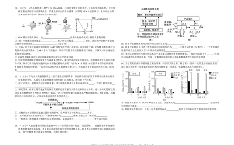 6生物第6次月考生物_2024届湖南省常德市第一中学高三上学期第六次月考_湖南省常德市第一中学2024届高三上学期第六次月考生物