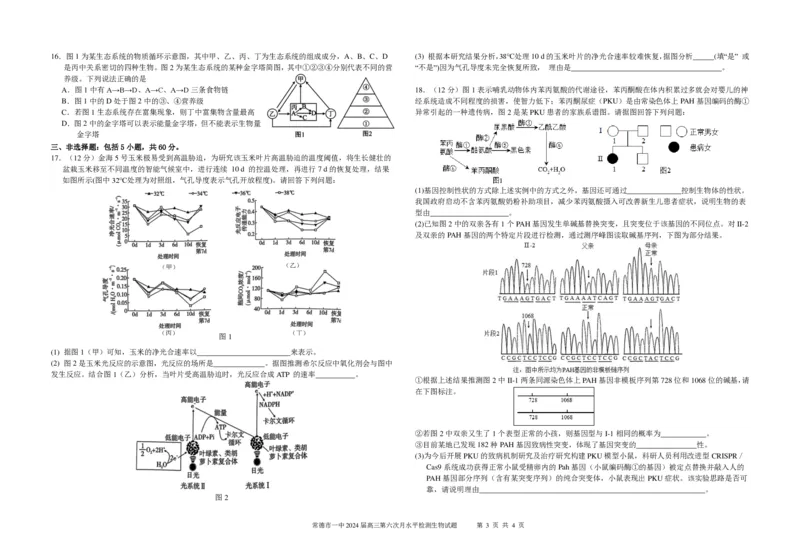 6生物第6次月考生物_2024届湖南省常德市第一中学高三上学期第六次月考_湖南省常德市第一中学2024届高三上学期第六次月考生物