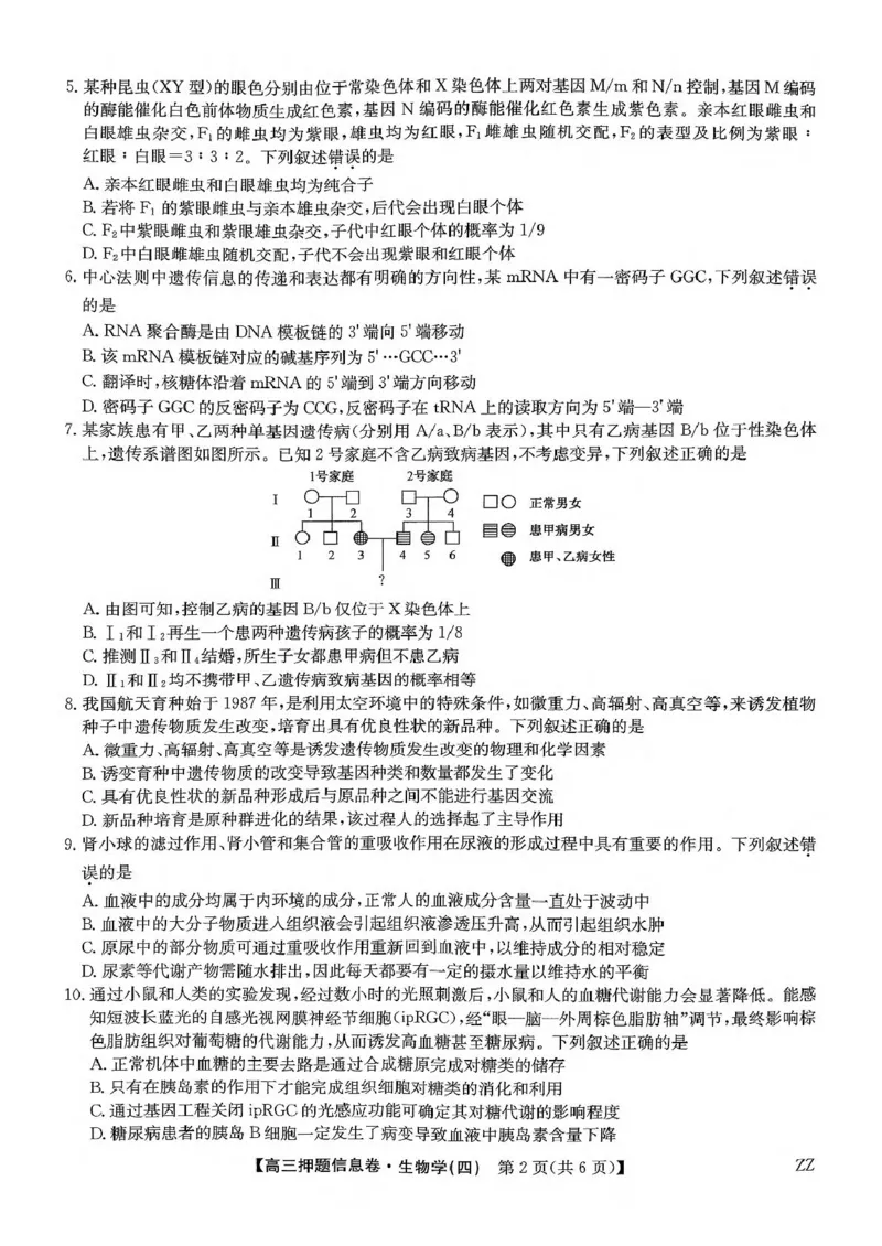 2025届陕西省宝鸡市名校高三下学期5月质量检测生物试卷_2025年6月_250603九师联盟2025届高三押题信息卷（四）（全科）_九师联盟2025届高三押题信息卷（四）生物试卷