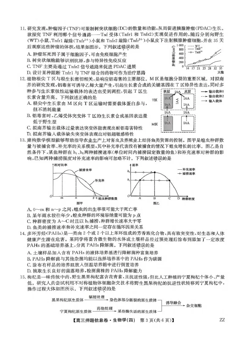 2025届陕西省宝鸡市名校高三下学期5月质量检测生物试卷_2025年6月_250603九师联盟2025届高三押题信息卷（四）（全科）_九师联盟2025届高三押题信息卷（四）生物试卷