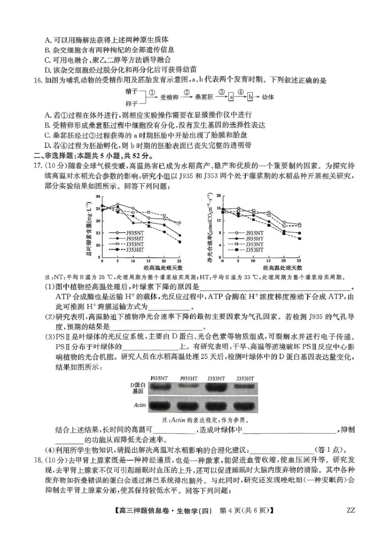 2025届陕西省宝鸡市名校高三下学期5月质量检测生物试卷_2025年6月_250603九师联盟2025届高三押题信息卷（四）（全科）_九师联盟2025届高三押题信息卷（四）生物试卷