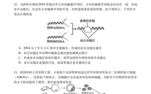广安市2025年高2023级（2026届）第零次诊断性模拟考试（高三零诊）生物试题卷+答案_2025年7月