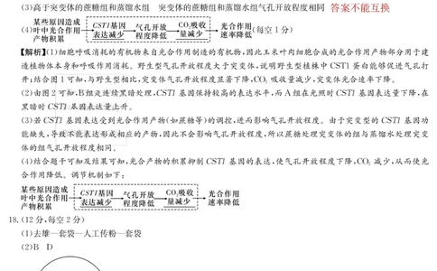 湖南师大附中2026届高三月考试卷（四）生物答案_2025年12月_251202湖南师范大学附属中学2026届高三上学期月考（四）_湖南师范大学附属中学2026届高三上学期月考（四）生物