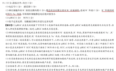 湖南师大附中2026届高三月考试卷（四）生物答案_2025年12月_251202湖南师范大学附属中学2026届高三上学期月考（四）_湖南师范大学附属中学2026届高三上学期月考（四）生物