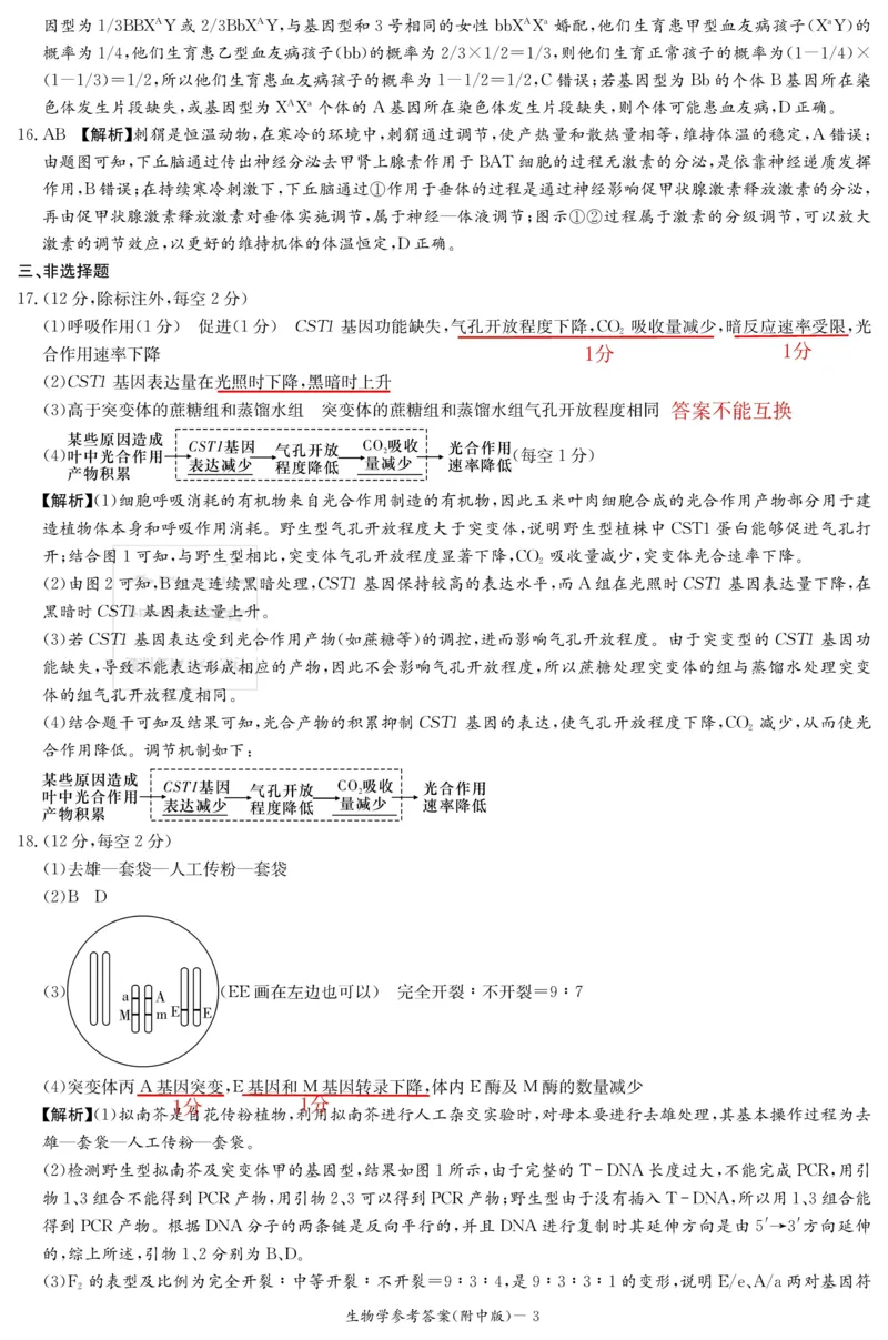 湖南师大附中2026届高三月考试卷（四）生物答案_2025年12月_251202湖南师范大学附属中学2026届高三上学期月考（四）_湖南师范大学附属中学2026届高三上学期月考（四）生物