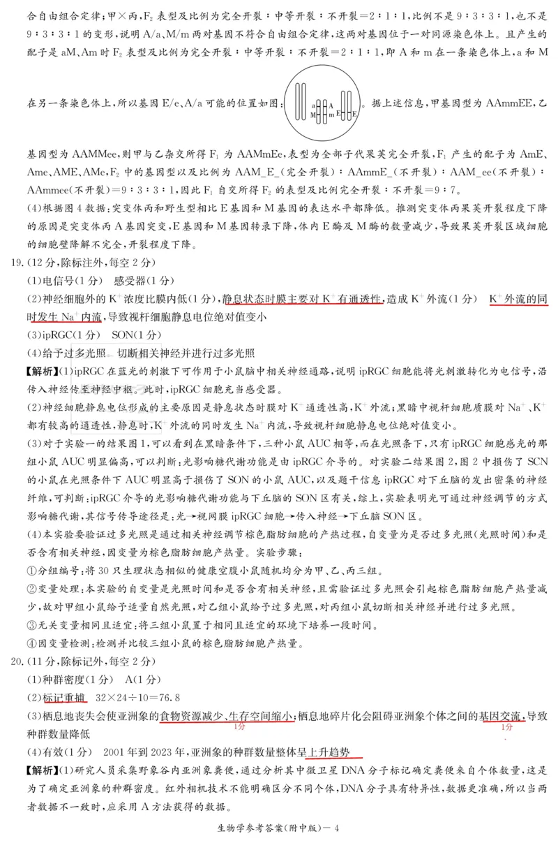 湖南师大附中2026届高三月考试卷（四）生物答案_2025年12月_251202湖南师范大学附属中学2026届高三上学期月考（四）_湖南师范大学附属中学2026届高三上学期月考（四）生物