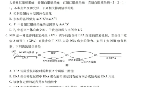 2026届云南三校高考备考实用性联考卷（一）生物试卷+答案_2025年6月_2506142026届云南三校高考备考实用性联考试卷（一）（全科）(1)