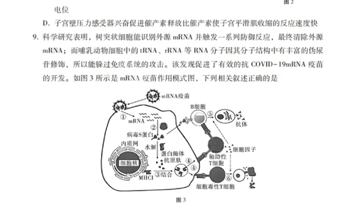 2026届云南三校高考备考实用性联考卷（一）生物试卷+答案_2025年6月_2506142026届云南三校高考备考实用性联考试卷（一）（全科）(1)