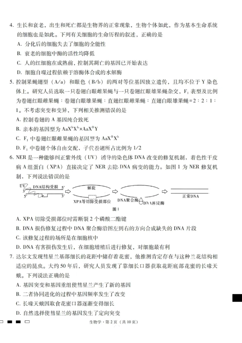 2026届云南三校高考备考实用性联考卷（一）生物试卷+答案_2025年6月_2506142026届云南三校高考备考实用性联考试卷（一）（全科）(1)